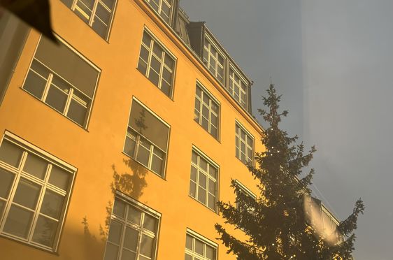 en høy bygning med et tre foran