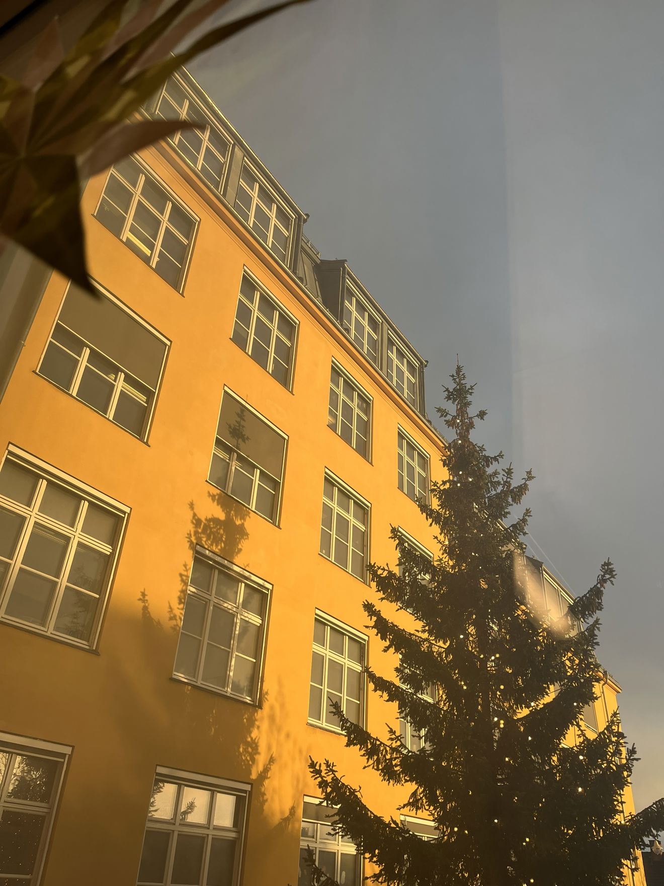 en høy bygning med et tre foran en høy bygning med et tre foran