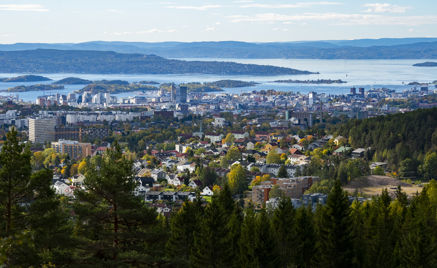 En by med trær og vann i bakgrunnen