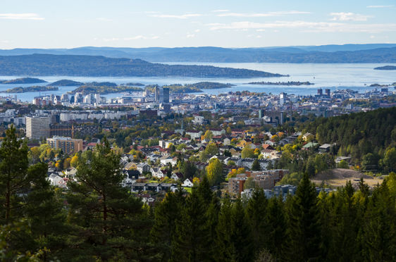 En by med trær og vann i bakgrunnen