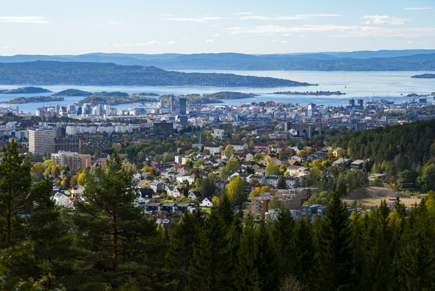 En by med trær og vann i bakgrunnen